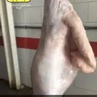 طليان