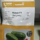 حبحب ملوكي بذور وحبحب سيدلاني