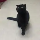 للتبني