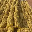 Wholesale French fries