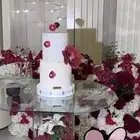 كيك ابها وخميس مشيط