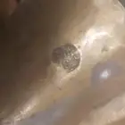 للبيع دله من نوادر