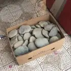 حجر مظبي طبيعي توريد للمطاعم 00توصيل00