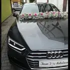 عروض تشريع السيارات