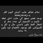 فندقه قطط و ترويش و عنايه بالقطط