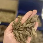 عود الكلمنتان الفاخر ( بنتلي)