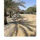 للبيع شرائح زراعيه مساحات مختلفه على الاسفلت مباشره