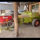 بذاره تيوم الجميح جديده و لبانه الجميح 55 قلاس حراثه