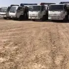 دينات ونش شقراء لنقل الابل