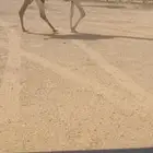 لقحه وضحا منتج