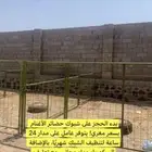 شبوك اغنام جاهزه للايجار اشهري طريق عسفان