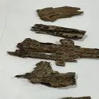عود بروناي اندرووتر