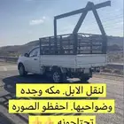 نقل مواشي