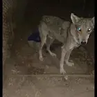 التواصل على رقم الجوال