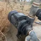 دينمو دفاعه اثنين بوصه