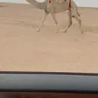 خلفه جذعه تثني