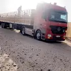 تريلات نقل ابل الى جميع منطق المملكه