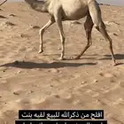 لقيه راهيه طيبه