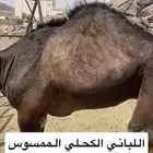 قعود شراكه