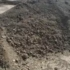 سماد دواجن سماد ابقار