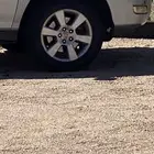 جنوط لكزس ار اكس جنوط كامري