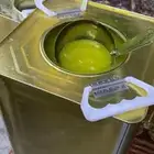 سمن اردني مكفول