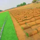 نجيله C2000 جوده عاليه