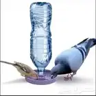 سقايه مشربيه طيور اكل حمام دجاج