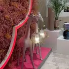 فن  ثقافه  ابداع ( صناعه النجاح )
