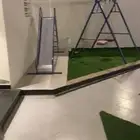 شالهات وفلل نارسيس الشقيق