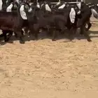 جفار عوارض