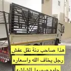 دينا مشاوير