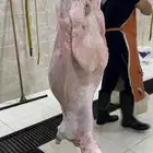 للبيع طليان حري أعياد وثلاجات