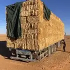تبن قمح