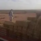 للبيع تبن لبانه ولجر مقاس 95 الئ متر