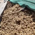 دمن دواجن الي النخيل بيوت المحميه