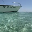 قارب للرحلات الرايس