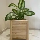 حوض زراعة خشبي أحواض زراعية مركن