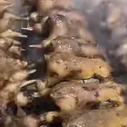 سمان منتوف وغير منتوف