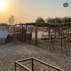 شبوك وخيمة حلال للبيع