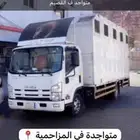 دينة خيل 7 روس متواجد باالقصيم جاهز لنقل