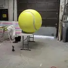 مصنع مجسمات و ديكور