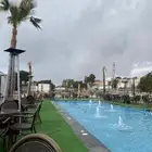 فني مسابح