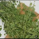 عشبه لمرض السكري