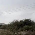 شمع و عسل
