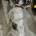 قير فورد اكسبديشن