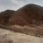 سماد دواجن سماد ابقار