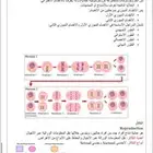 حلول واجبات وتصميم وعروض مدرسبه