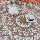 فروخ روز متوفر تمارا