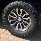 جنوط سييرا (كفرات كوبر)